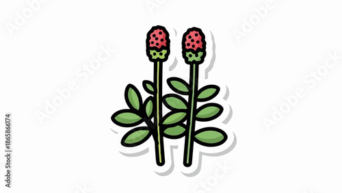 Cartoon illustration of two red wild strawberries with green leaves and stems