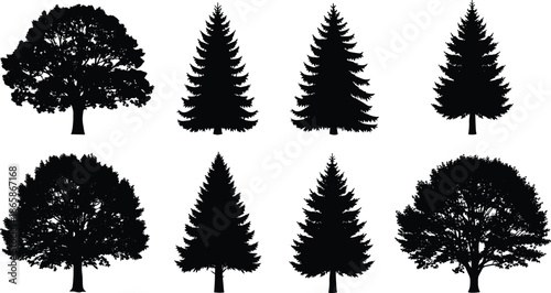 Set of black tree silhouettes, pine, fir, oak, nature icons for landscape architecture, cad drawing flat vector illustration.