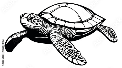 Black and white line art illustration of a sea turtle depicting an aquatic animal for marine life concepts