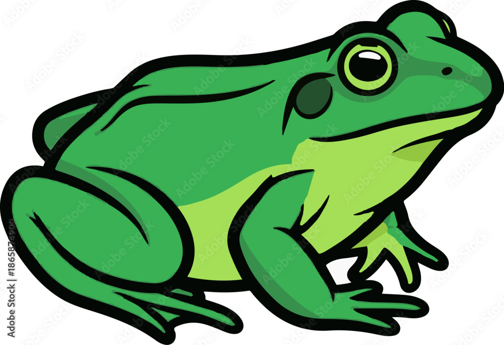 Fototapeta premium Cartoon green frog on white background