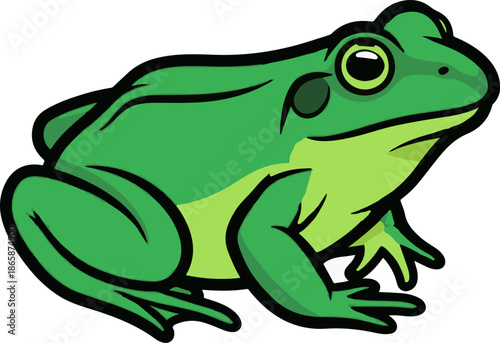 Cartoon green frog on white background