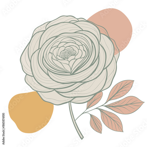 Minimalist rose illustration with abstract shapes and botanical elements
