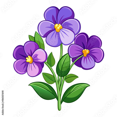 Vibrant purple pansies with green leaves on black background