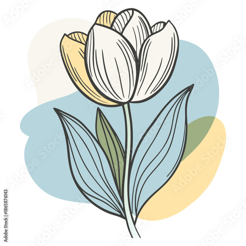 Minimalist tulip illustration with abstract pastel shapes
