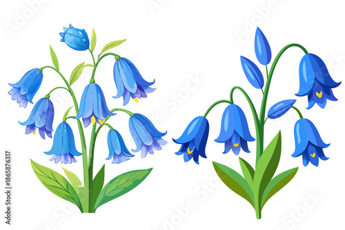Two clusters of vibrant blue bell shaped flowers with green stems and leaves