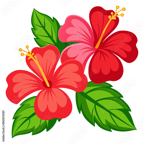 Vibrant red and pink hibiscus flowers with green leaves