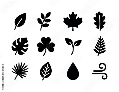 Leaf Icon Collection. Leaf. Solid icon set of Leaf: single leaf, branch, maple leaf, oak leaf, tropical leaf, clover, sprout, fern, palm leaf, leaf vein, dew