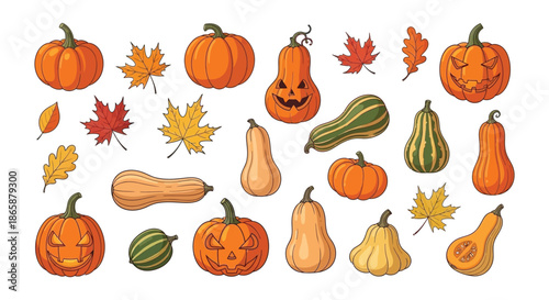 Autumn harvest illustration featuring pumpkins gourds and colorful fall maple leaves