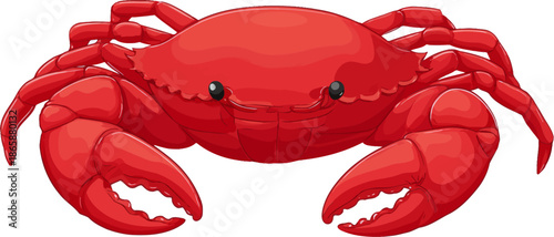 An artistic display showcasing a single crab in two distinct renditions, with vibrant hues and line art detail emphasizing its fascinating structure, is presented in Marine Crab Illustration