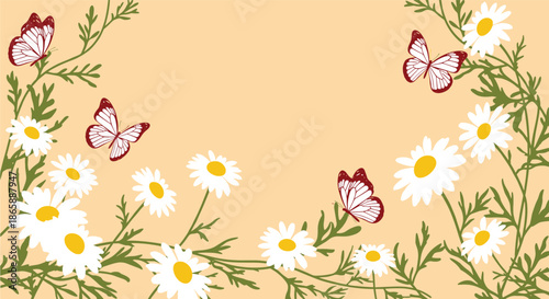 A beautiful spring or summer background with a frame of delicate white daisies and red butterflies on a warm peach background.