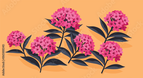 Beautiful botanical illustration of several stems of vibrant pink and yellow lantana flowers with dark leaves against a solid orange background.