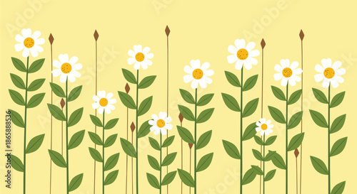 Cheerful floral background illustration with a row of stylized white daisy flowers with long stems on a solid yellow backdrop.