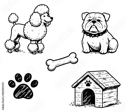 Hand drawn line art dogs and pet accessories set featuring a poodle, bulldog, bone, paw print, and dog house for pet care designs
