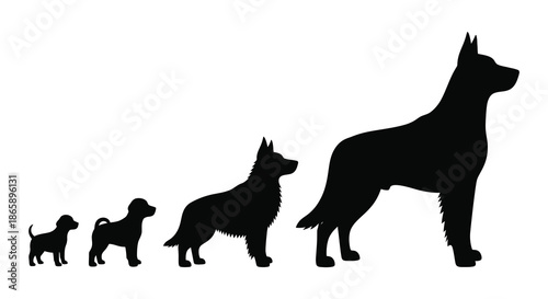 A captivating depiction of a german shepherd s growth stages from puppy to adult in silhouette