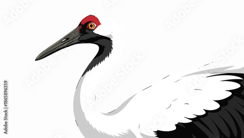 Elegant white crane with striking red head and dark beak against a clean white background