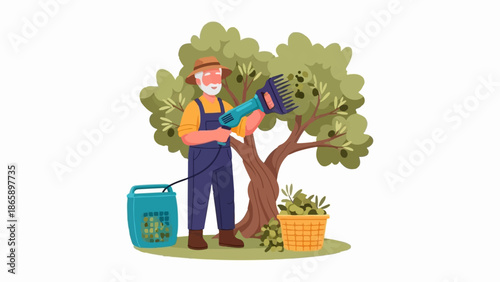 Farmer harvesting olives from a tree with a tool, basket, and container
