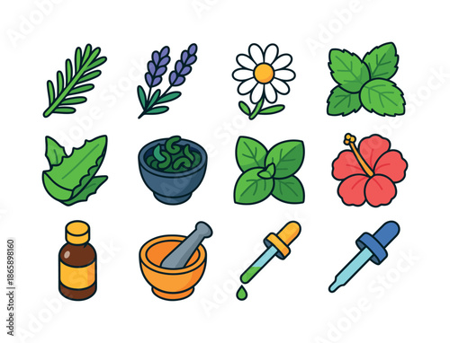 Herbal Ingredients Icons. Herbal ingredients. Colorful isometric vector icons set of herbal ingredients: rosemary, lavender, chamomile, mint leaves, aloe vera,