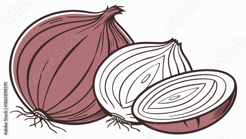 Clean vector illustration of a fresh red onion with smooth gradients and clear outlines, realistic shape and texture, vibrant purple red color, isolated on a pure white background. Flat yet detailed v