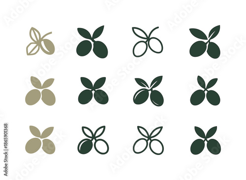 Natural Haircare Icons. Natural Haircare Ingredients. Icon set. Set Logo of Natural Haircare Ingredients: argan nuts and branch. harmonious logo variations of