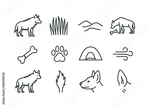 Brown Hyena Icons. Brown hyenas. Line icon set of Brown hyenas: brown hyena silhouette, long fur icon, desert dune, scavenger stance, broken bone icon, hyena