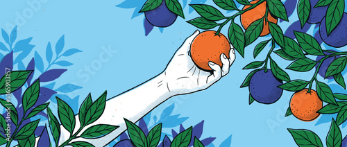 Stylized illustrated hand picking a ripe orange from a leafy branch among other colorful fruits in a vibrant, graphic pop art style with halftone textures
