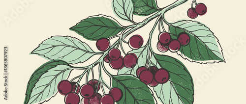 Hand-drawn cherry branch illustration with ripe red berries and green leaves in a vintage, graphic novel style with halftone textures and bold black outlines for a retro feel