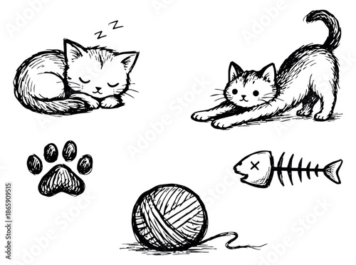 Hand drawn line art cat illustration set featuring a sleeping kitten, stretching cat, paw print, yarn ball, and fishbone for pet care and animal designs