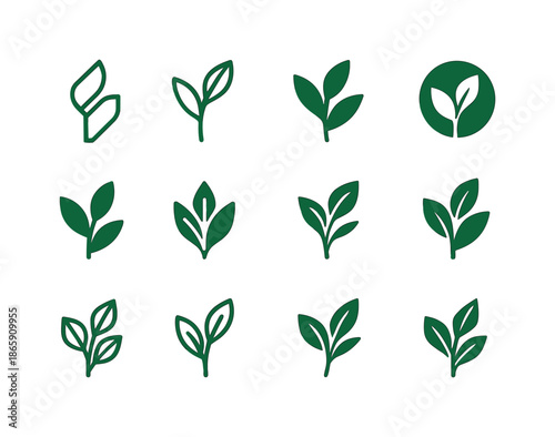 Natural Haircare Logos. Natural Haircare Ingredients. Icon set. Set Logo of Natural Haircare Ingredients: green tea leaf. harmonious logo variations of the