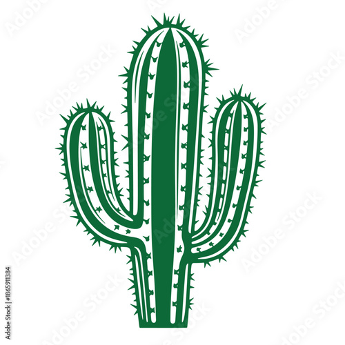 green cactus plant with sharp spines on white background