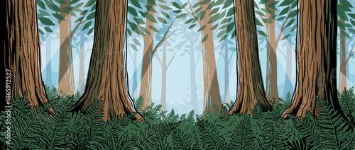 Illustrated forest scene with large tree trunks and green ferns on the ground, featuring sunbeams filtering through the misty woods in a serene, graphic comic book style