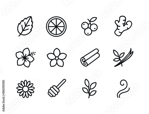 Tea Flavor Icons. Tea flavors. Line icon set of tea flavors: mint leaf, citrus slice, berry cluster, ginger root, hibiscus flower, jasmine blossom, cinnamon