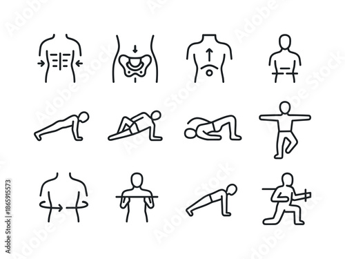Core Stability Icons. Core stability. Line icon set of core stability: abdominal brace icon, pelvic floor activation, neutral pelvis diagram, core engagement