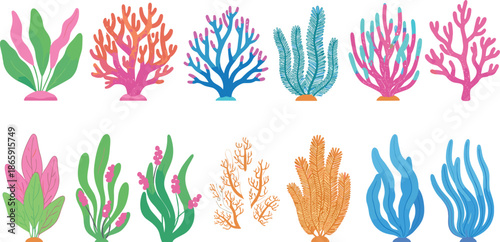 Colorful coral and seaweed vector set with underwater marine plants ocean reef elements isolated on white