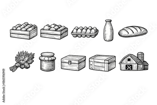 Hand-drawn sketches of farm produce including milk, bread, and vegetables