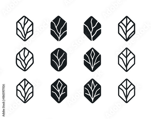 Mineral Logo Variations. Mineral. Icon set. Set Logo of Mineral: mineral veins. harmonious logo variations of the same emblematic concept, each with different