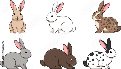 Cute rabbit cartoon vector set with different bunny colors and poses adorable animal illustrations isolated on white