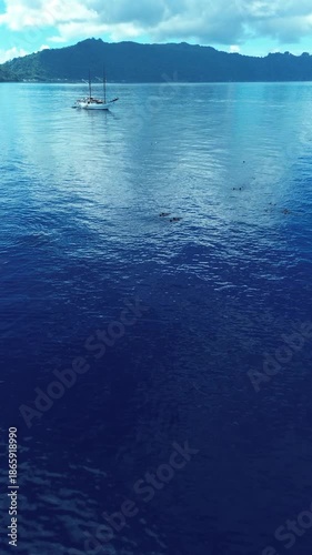 Drone captures the Ondina boat with visible snorkelers and a dolphin pod nearby in the Banda Sea, Maluku, Indonesia.