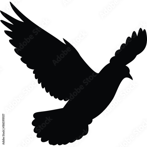 Silhouette of a Flying Bird in Flight, Black Bird with Outstretched Wings Against Light Background