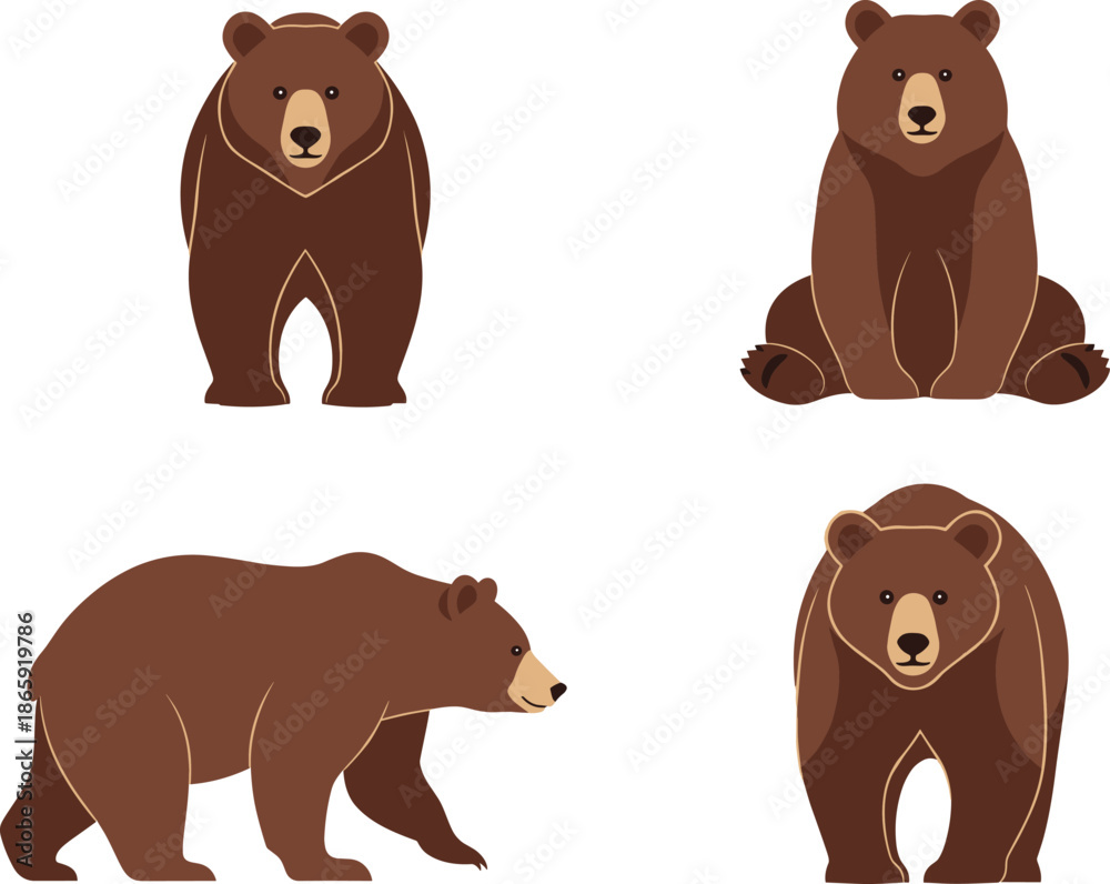 Fototapeta premium Cute bear cartoon vector set with standing sitting and walking poses forest wildlife character illustrations isolated