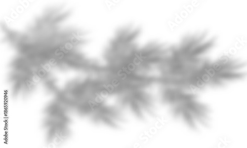 Vector image of soft shadows from plants, transparent shadows from branches and leaves with natural lighting effect for mockups, branding, posters, backgrounds.