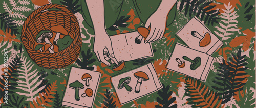 Person's hands sorting foraged wild mushrooms next to botanical illustrations and a wicker basket in a textured, graphic style with earthy tones and fern leaves