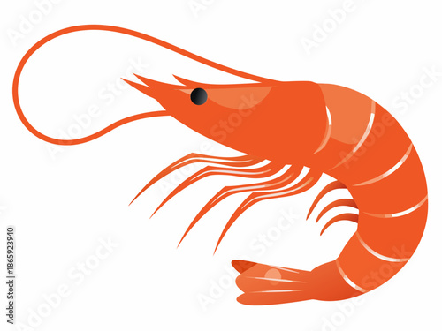 A vibrant orange shrimp illustration with a curved body and detailed features