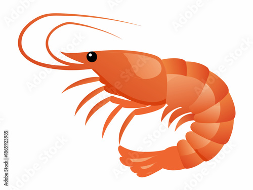 A vibrant illustration of a curled orange shrimp with detailed features