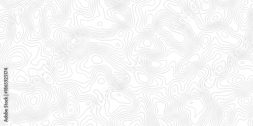 Abstract background with a wave grid map and topography map and seamless pattern with lines White wave paper curved reliefs abstract background, Abstract topographic contours map background.