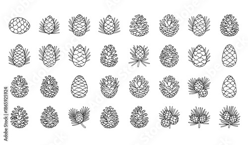 32 pine cone botanical vector icons set for web and app, simple outline illustration