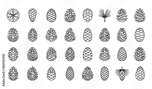 Geometric outline pine cone botanical vector icons set, 32 minimal nature icons for web