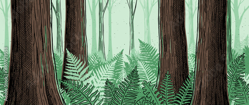 Illustrated forest scene with large brown tree trunks and lush green ferns on the forest floor in a graphic, hand-drawn comic book style with a serene and misty atmosphere