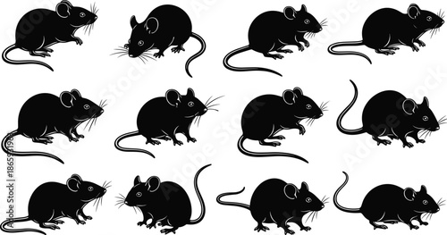 Black mouse silhouette set showing different poses and angles isolated on white background vector illustration for design use
