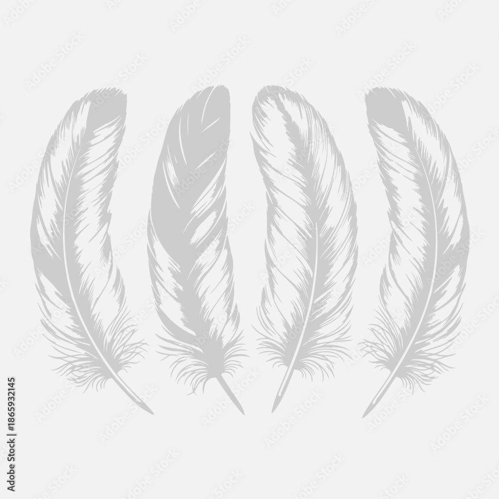 Fototapeta premium Four white feathers