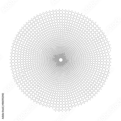 Geometric pattern with concentric circles and hexagonal shapes